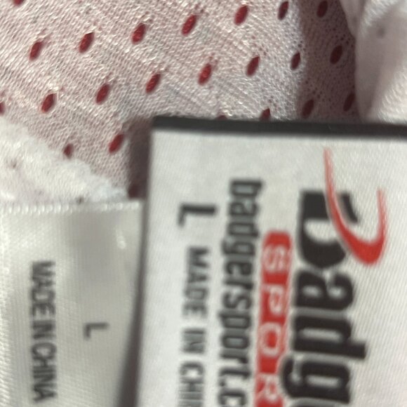 Badger Sport Raptors #13 Reversible Basketball Jersey Size Large - Picture 5 of 12